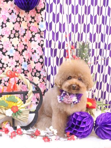 20250121てんくん